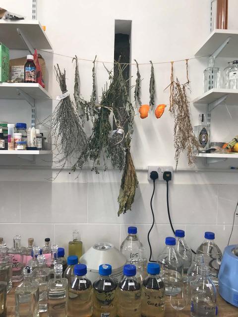 A laboratory with the ingredients to make gin