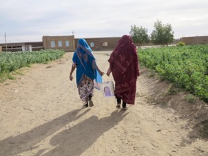 The back of two women, walking along a dust road toward buildings