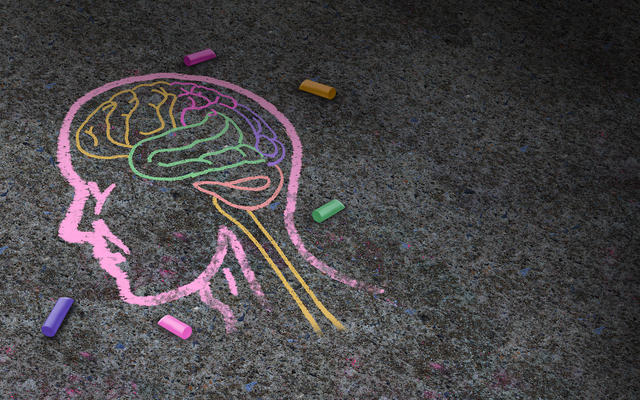 Chalk-sketched image of a human brain