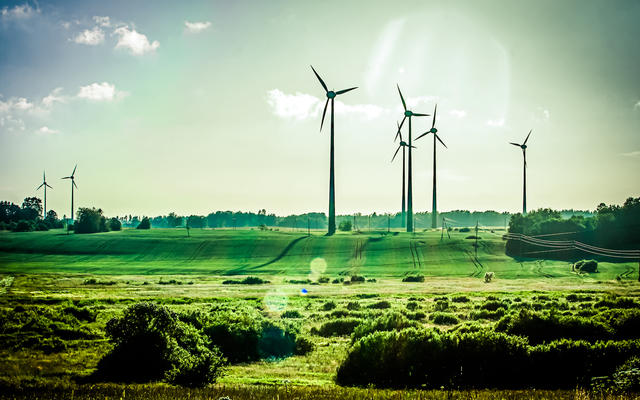 Wind turbines amidst fields