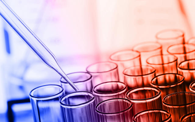Laboratory test tubes in coloured light. Credit: Shutterstock