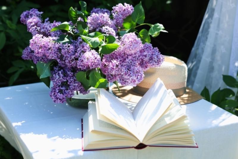 An open book next to lilac, in sunshine