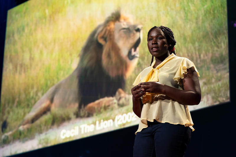 Dr Moreangels Mbizah delivered a TED Talk. In the background is Cecil the Lion.