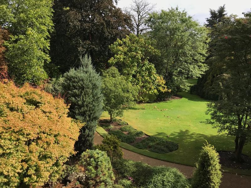 An elevated view of St John's College arboretum