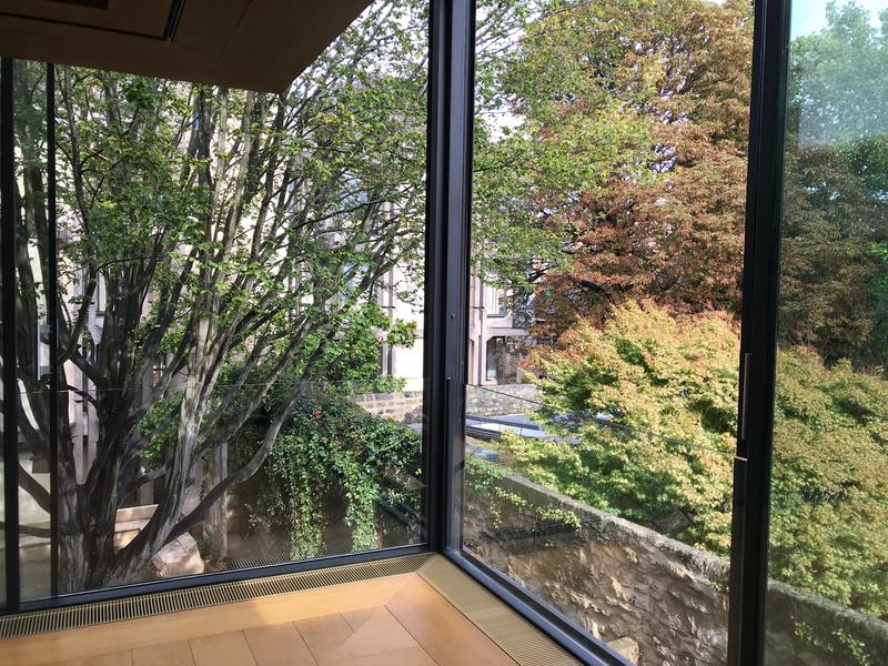 A view out of a window in the St John's library showing you are amongst the tree canopy