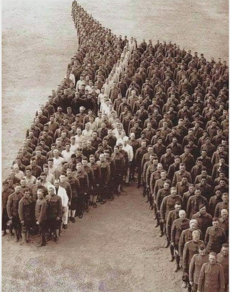 An old photo from World War One of soldiers stood in the shape of a horse's head, with some amongst them dressed in white to recreate the bridle