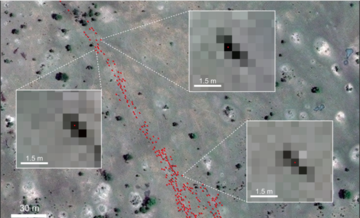 Zoomed WorldView-3 satellite image showing individual wildebeest resolved at the pixel level 