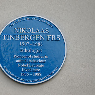 Blue Plaque to Niko Tinbergen
